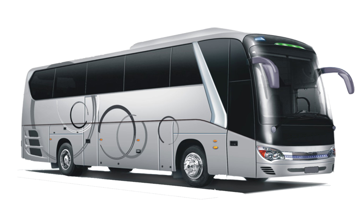 Bus 40 - 45 Half Day
